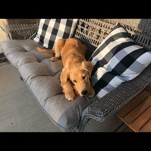 Meet your Posher, Aled